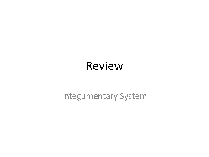 Review Integumentary System 