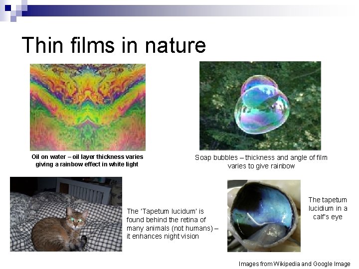 Thin films in nature Oil on water – oil layer thickness varies giving a