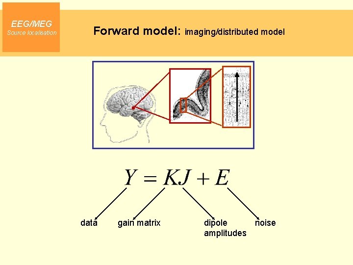 EEG/MEG Source localisation Forward model: imaging/distributed model data gain matrix dipole noise amplitudes 