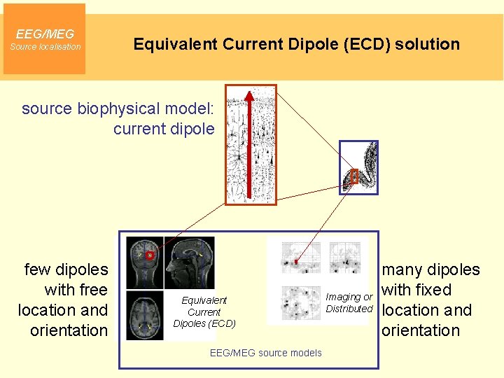 EEG/MEG Source localisation Equivalent Current Dipole (ECD) solution source biophysical model: current dipole few