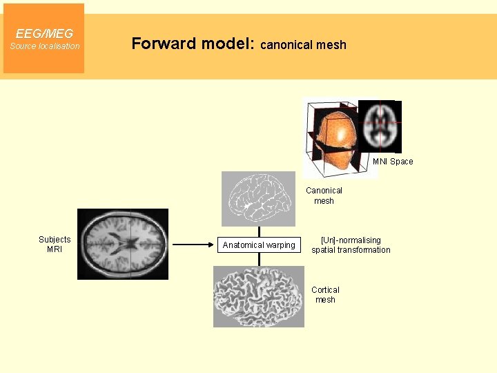 EEG/MEG Source localisation Forward model: canonical mesh MNI Space Canonical mesh Subjects MRI Anatomical