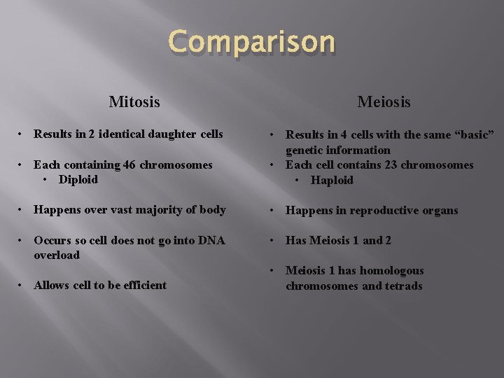 Comparison Mitosis • Results in 2 identical daughter cells Meiosis • Each containing 46