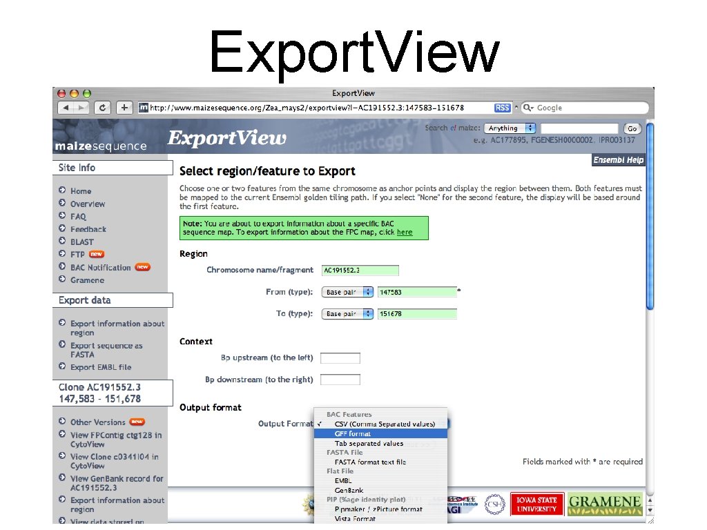 Export. View 