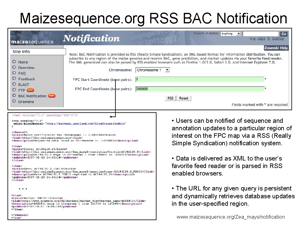 Maizesequence. org RSS BAC Notification • Users can be notified of sequence and annotation