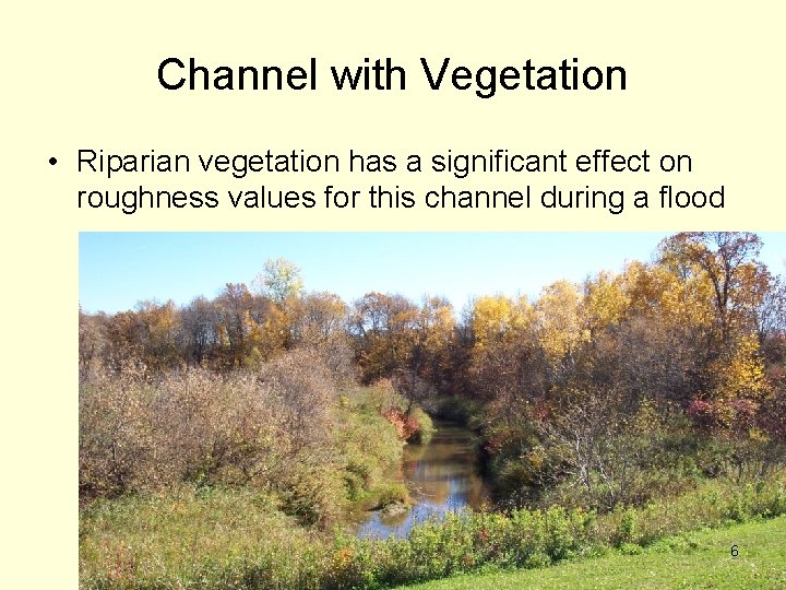 Channel with Vegetation • Riparian vegetation has a significant effect on roughness values for