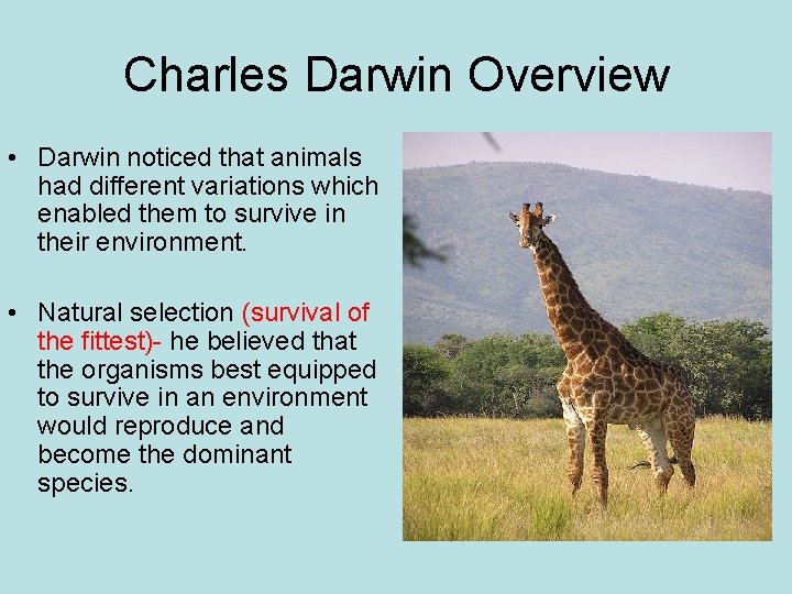 Charles Darwin Overview • Darwin noticed that animals had different variations which enabled them