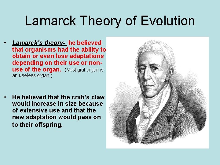 Lamarck Theory of Evolution • Lamarck’s theory- he believed that organisms had the ability