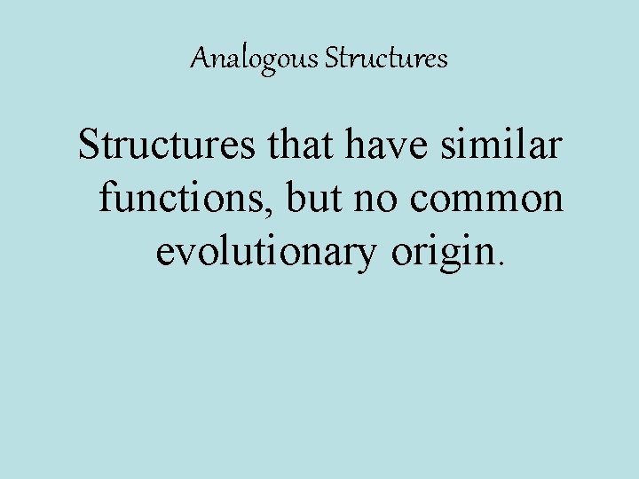 Analogous Structures that have similar functions, but no common evolutionary origin. 