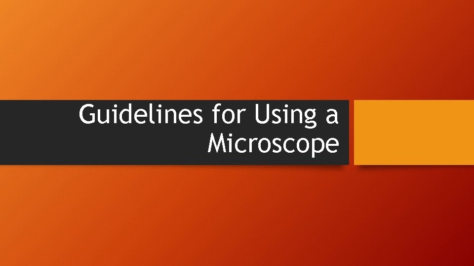 Guidelines for Using a Microscope 