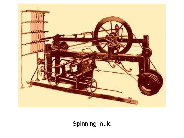 Spinning mule 