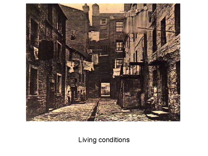 Living conditions 