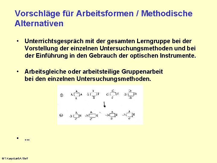 Vorschläge für Arbeitsformen / Methodische Alternativen • Unterrichtsgespräch mit der gesamten Lerngruppe bei der