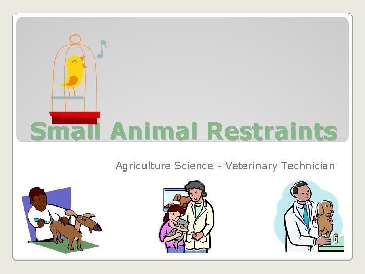 Small Animal Restraints Agriculture Science - Veterinary Technician 