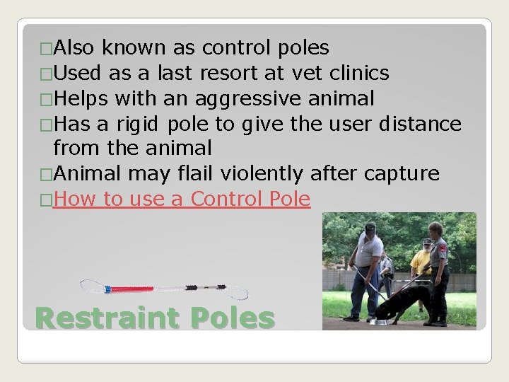 �Also known as control poles �Used as a last resort at vet clinics �Helps