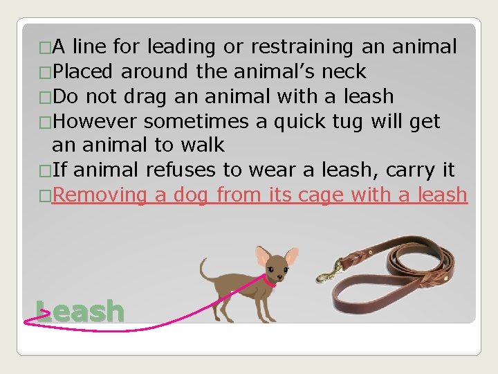 �A line for leading or restraining an animal �Placed around the animal’s neck �Do