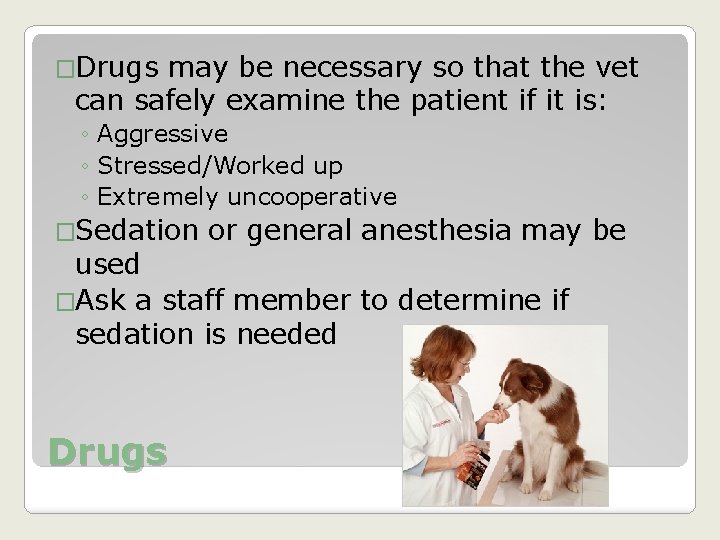 �Drugs may be necessary so that the vet can safely examine the patient if