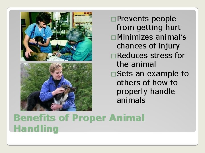 �Prevents people from getting hurt �Minimizes animal’s chances of injury �Reduces stress for the
