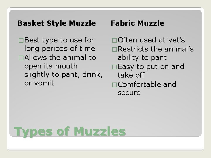 Basket Style Muzzle Fabric Muzzle � Best � Often type to use for long