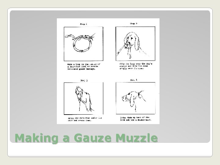 Making a Gauze Muzzle 