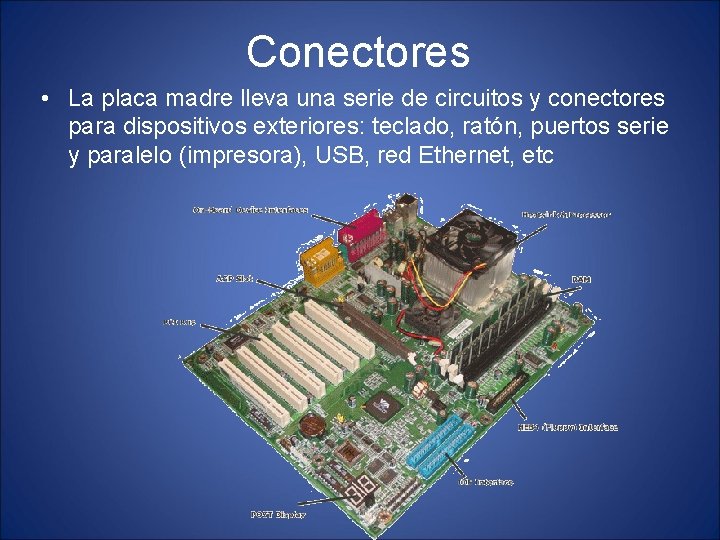 Conectores • La placa madre lleva una serie de circuitos y conectores para dispositivos