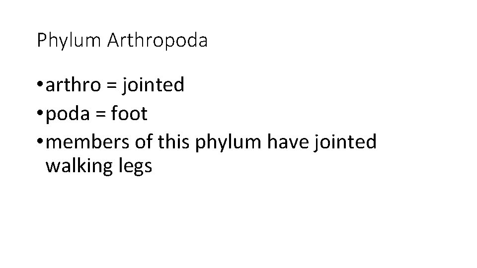 Phylum Arthropoda • arthro = jointed • poda = foot • members of this