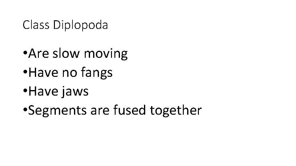 Class Diplopoda • Are slow moving • Have no fangs • Have jaws •