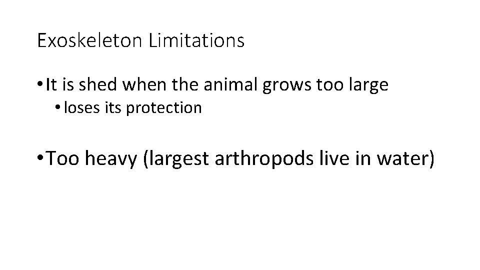 Exoskeleton Limitations • It is shed when the animal grows too large • loses