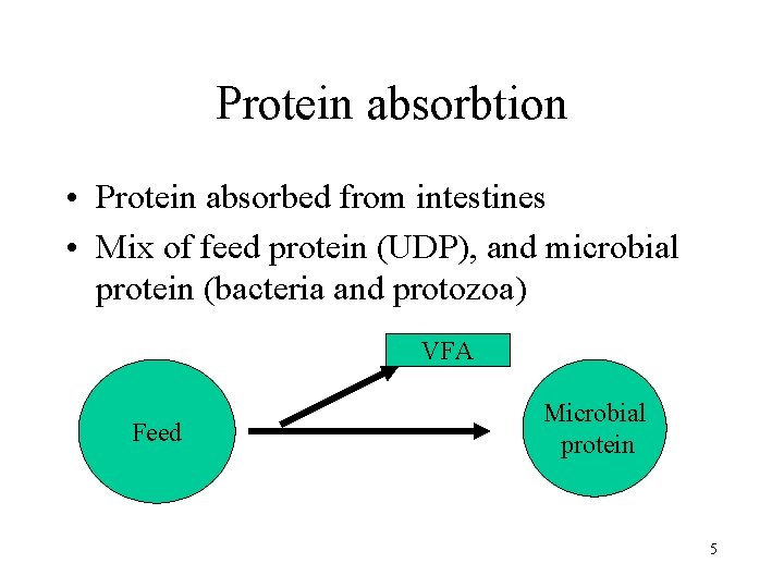 Protein absorbtion • Protein absorbed from intestines • Mix of feed protein (UDP), and