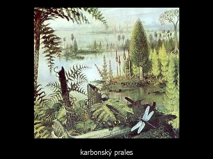 karbonský prales 