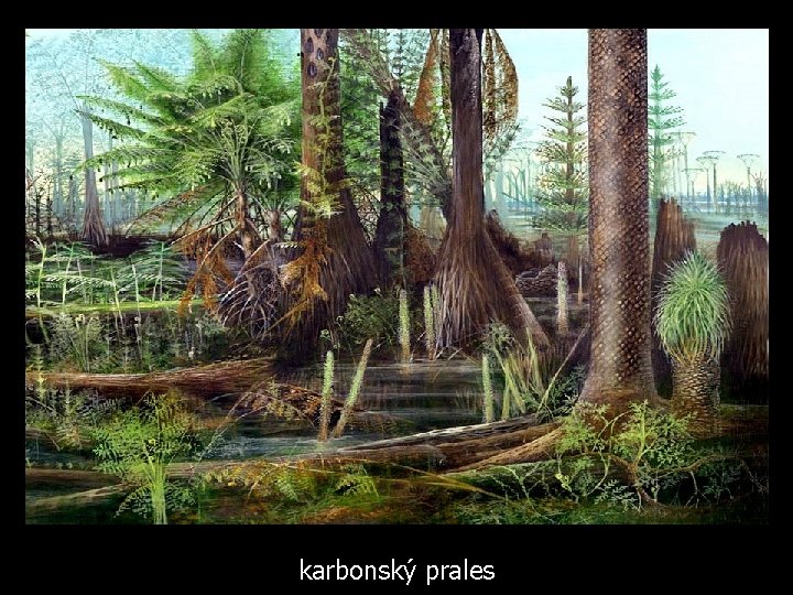 karbonský prales 