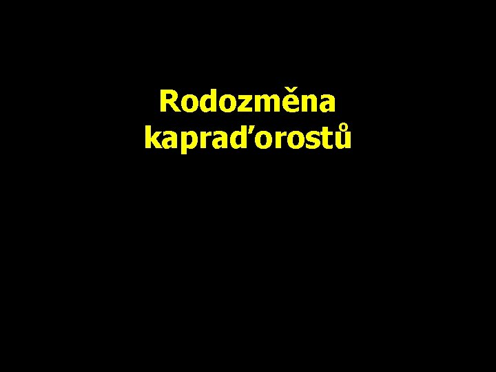 Rodozměna kapraďorostů 