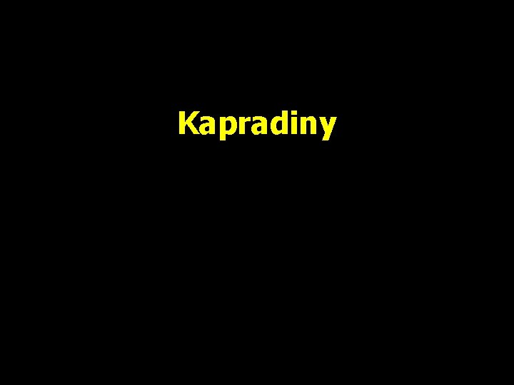 Kapradiny 