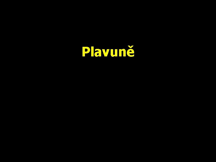 Plavuně 