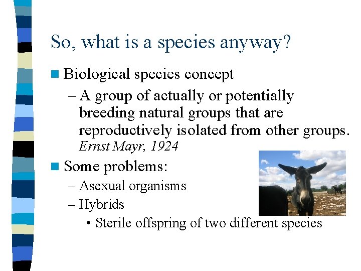 So, what is a species anyway? n Biological species concept – A group of
