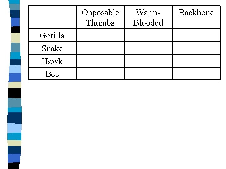 Opposable Thumbs Gorilla Snake Hawk Bee Warm. Blooded Backbone 