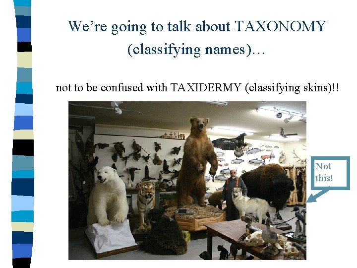 We’re going to talk about TAXONOMY (classifying names)… not to be confused with TAXIDERMY