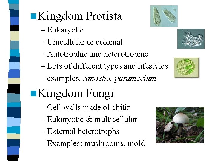 n Kingdom Protista – Eukaryotic – Unicellular or colonial – Autotrophic and heterotrophic –