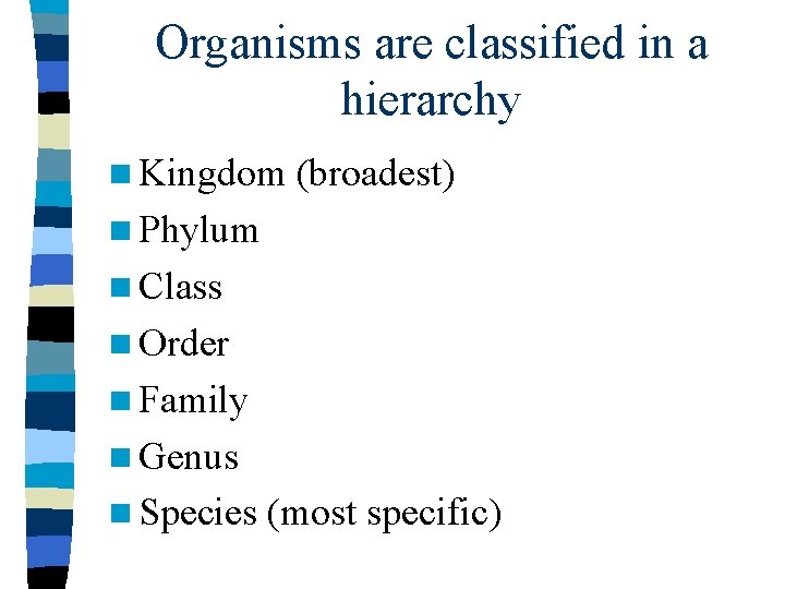 Organisms are classified in a hierarchy n Kingdom (broadest) n Phylum n Class n