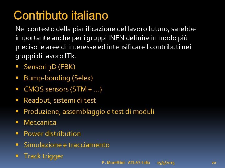 Contributo italiano Nel contesto della pianificazione del lavoro futuro, sarebbe importante anche per i