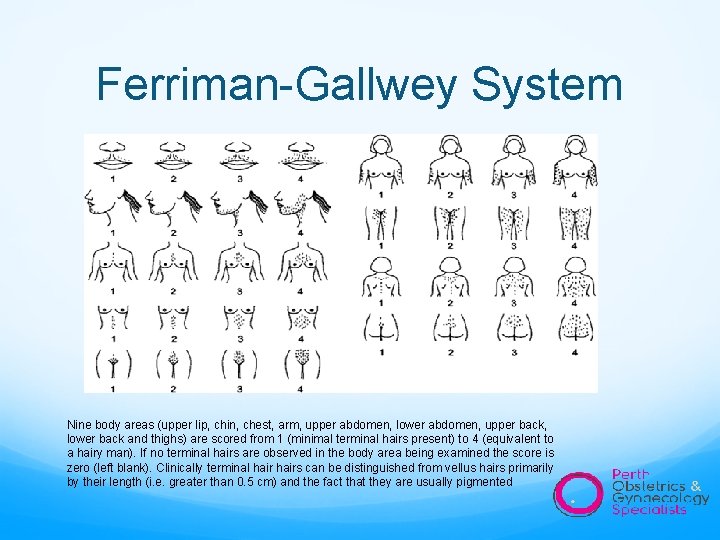 Ferriman-Gallwey System Nine body areas (upper lip, chin, chest, arm, upper abdomen, lower abdomen,