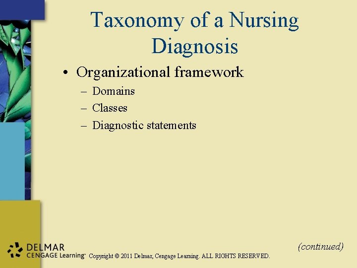 Taxonomy of a Nursing Diagnosis • Organizational framework – Domains – Classes – Diagnostic