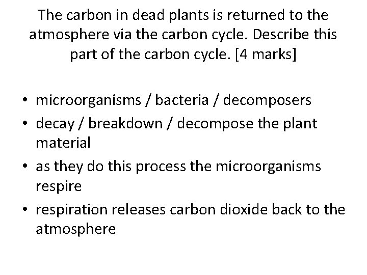 The carbon in dead plants is returned to the atmosphere via the carbon cycle.