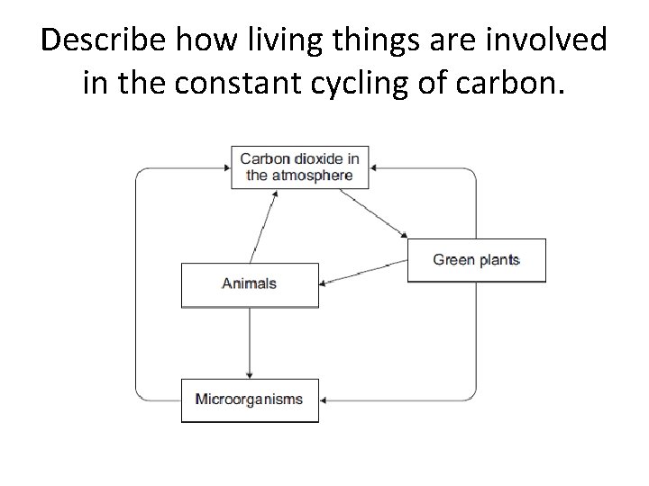 Describe how living things are involved in the constant cycling of carbon. 