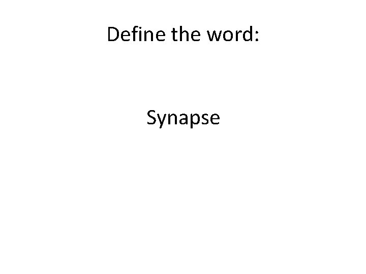 Define the word: Synapse 