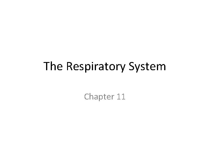 The Respiratory System Chapter 11 