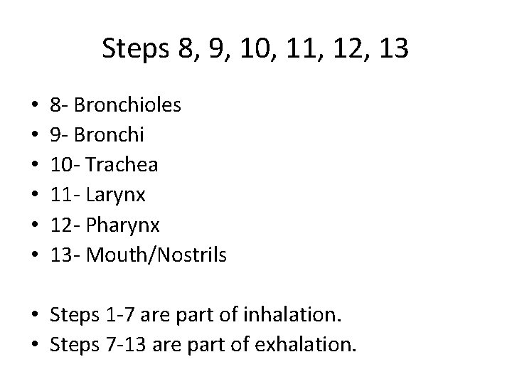 Steps 8, 9, 10, 11, 12, 13 • • • 8 - Bronchioles 9