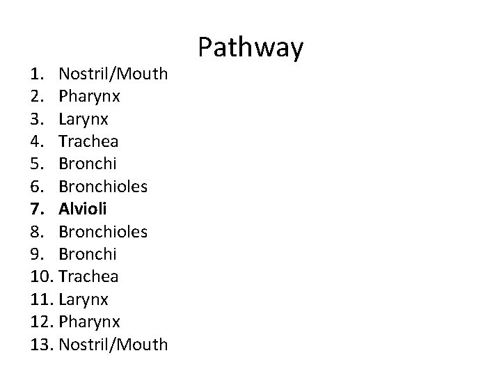 1. Nostril/Mouth 2. Pharynx 3. Larynx 4. Trachea 5. Bronchi 6. Bronchioles 7. Alvioli