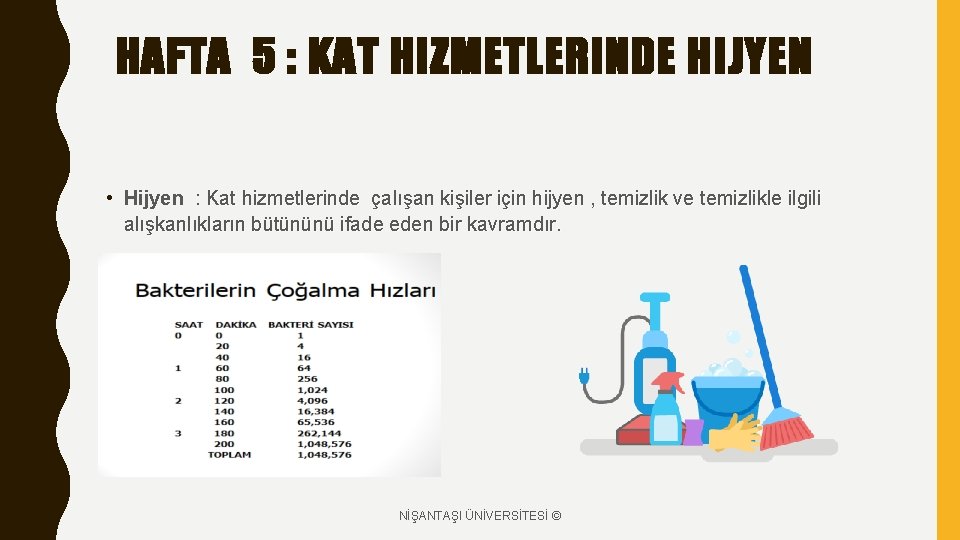 HAFTA 5 : KAT HIZMETLERINDE HIJYEN • Hijyen : Kat hizmetlerinde çalışan kişiler için