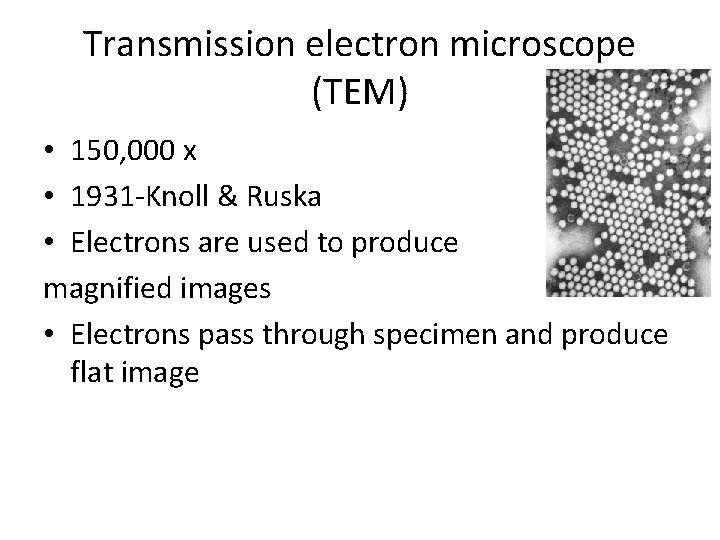 Transmission electron microscope (TEM) • 150, 000 x • 1931 -Knoll & Ruska •