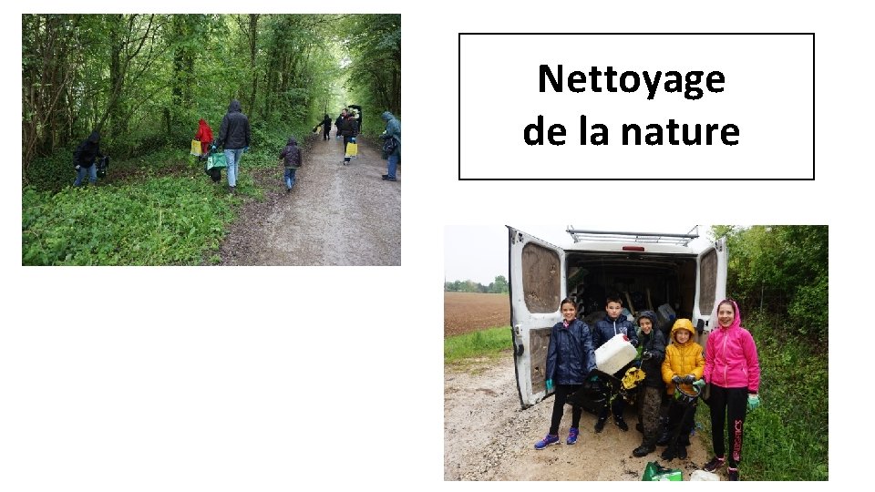 Nettoyage de la nature 